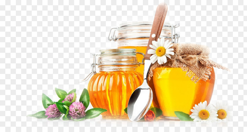 Bee Honey Desktop Wallpaper PNG