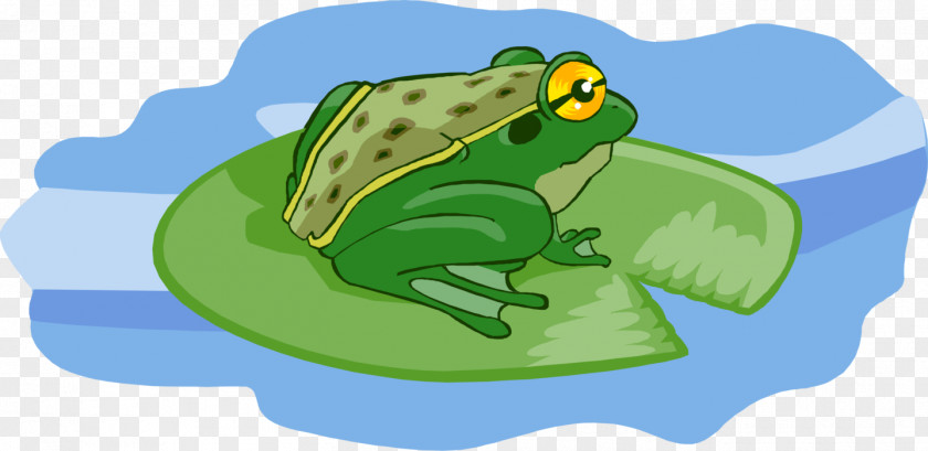Frog True Clip Art Illustration Image PNG