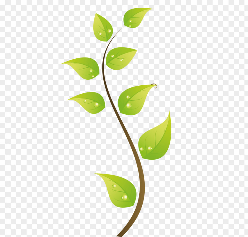 Green Leaves Leaf Clip Art PNG