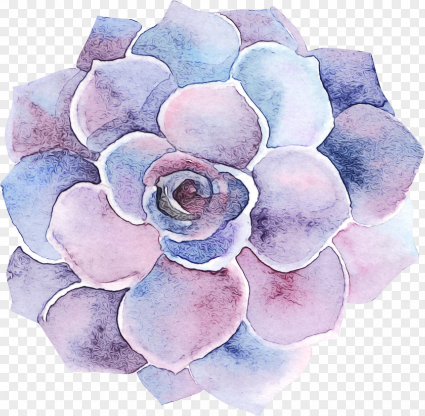 Japanese Camellia Garden Roses Blue Watercolor Flowers PNG