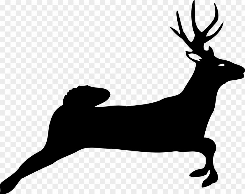 Bison White-tailed Deer Moose Clip Art PNG