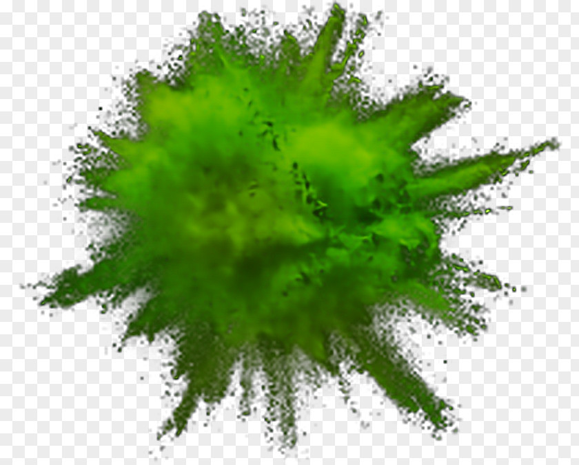 Color Smoke PNG , powder explode clipart PNG