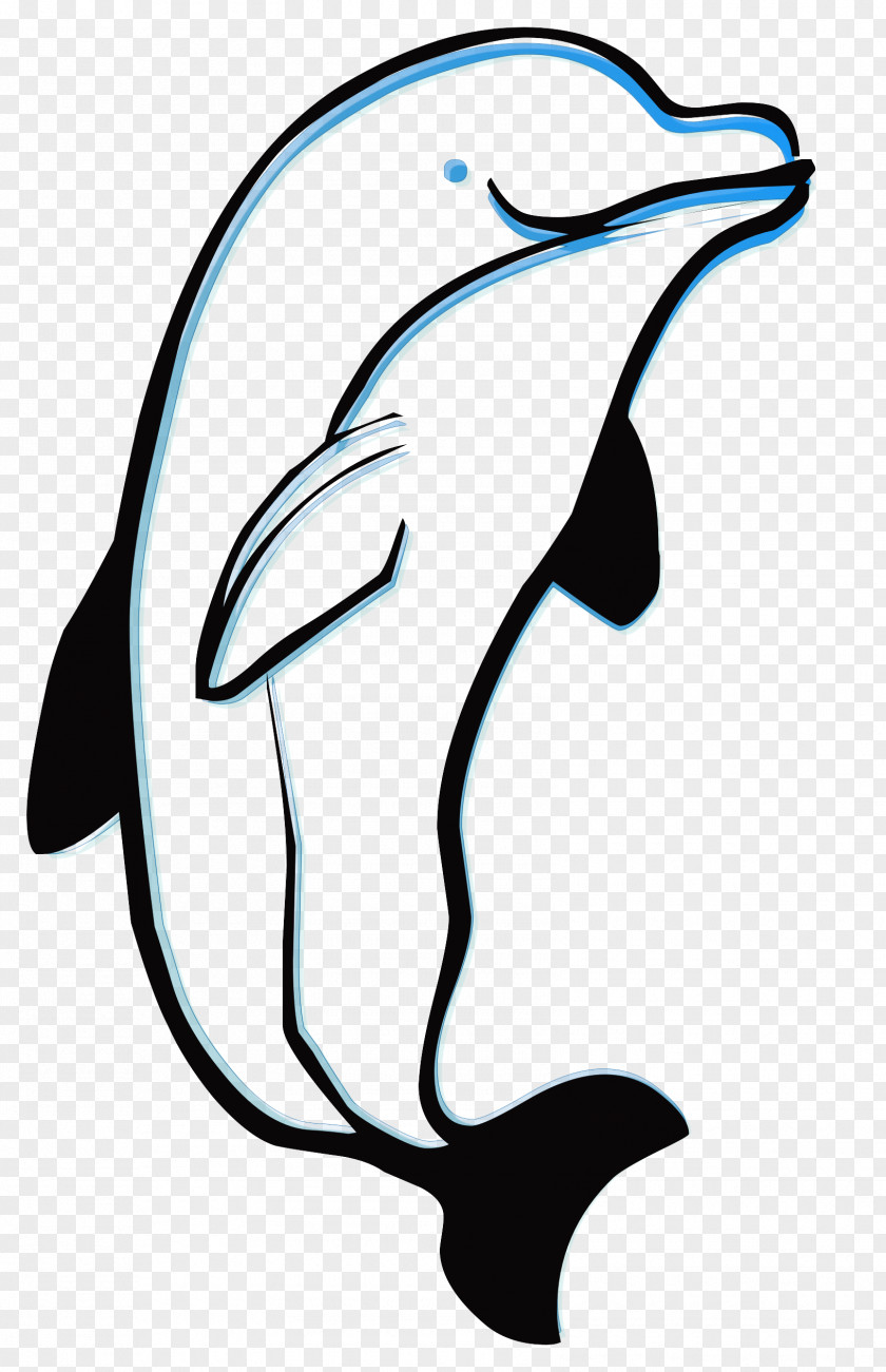 Dolphin Drawing Photography PNG