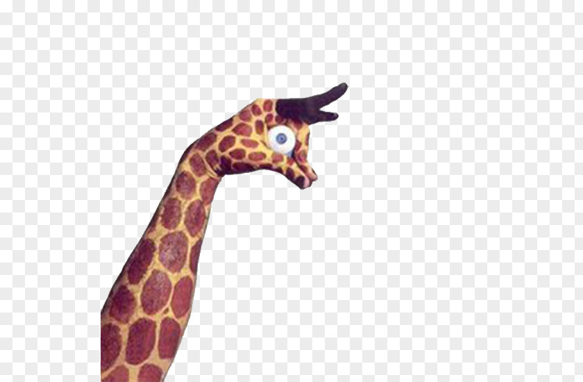 Giraffe-hand Painting Hand Art Finger PNG