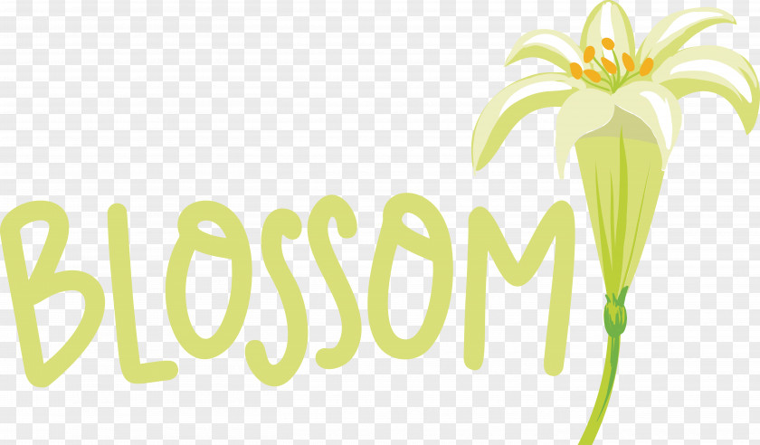 Logo Font Green Flower Fruit PNG