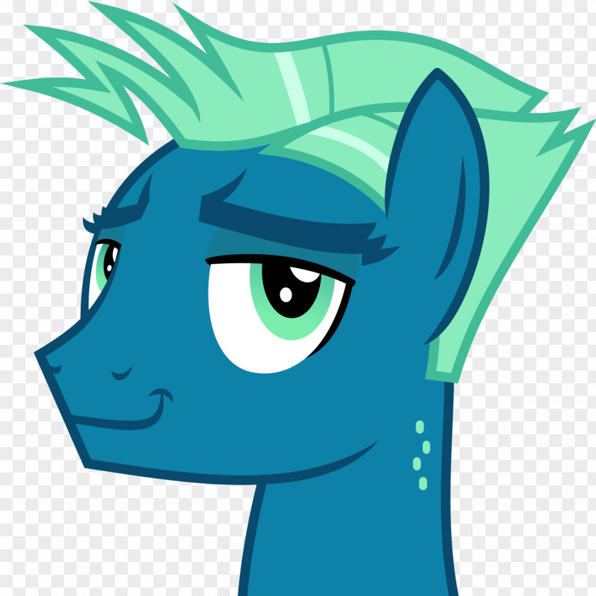 My Little Pony Rainbow Dash Twilight Sparkle Whiskers Rarity PNG