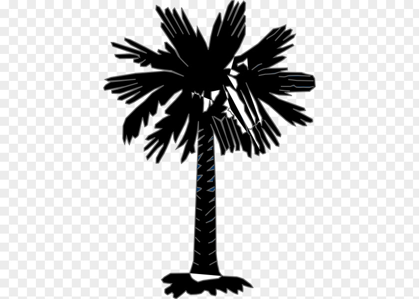 Black And White Flag Of South Carolina Columbia Sabal Palm North Korea PNG