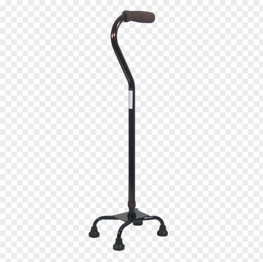 Cane Walking Stick Revealing The Absolute: Where Seeking Ends And Learning Begins Christ: Way Truth Life Assistive Medicine PNG