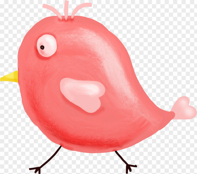 Chick Chicken Download PNG