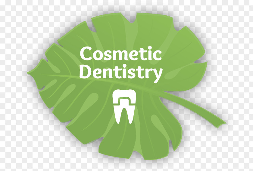 Leaf Logo Brand Green Cosmetic Dentistry PNG