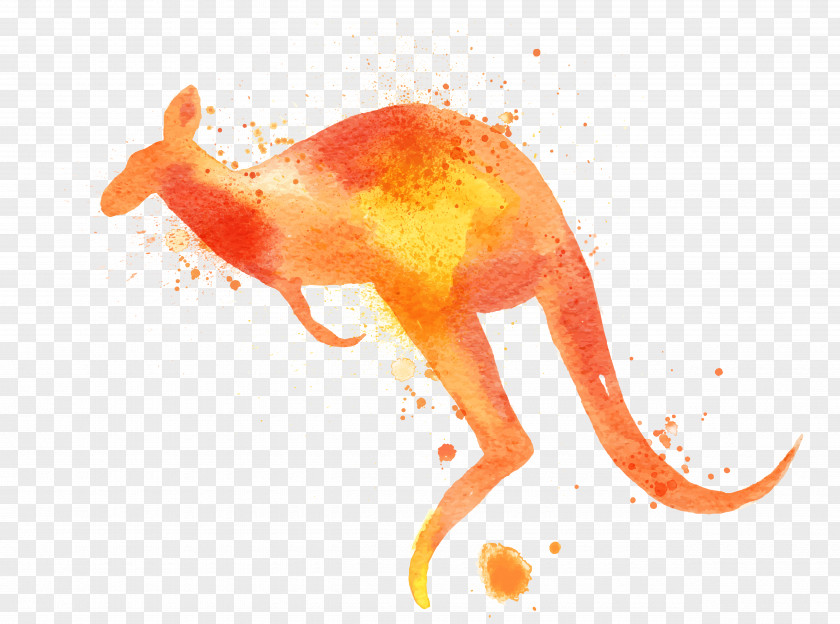 Orange Watercolor Kangaroo Macropodidae Painting PNG