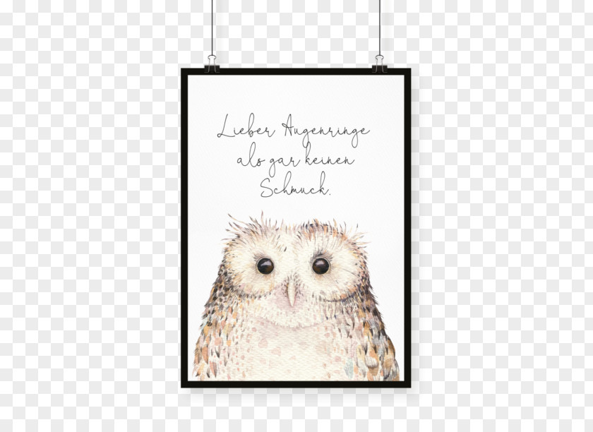 Owl Stock Photography Watercolor Painting PNG