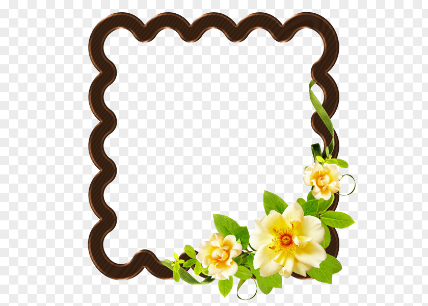 Picture Frames Floral Design Drawing Photography PNG