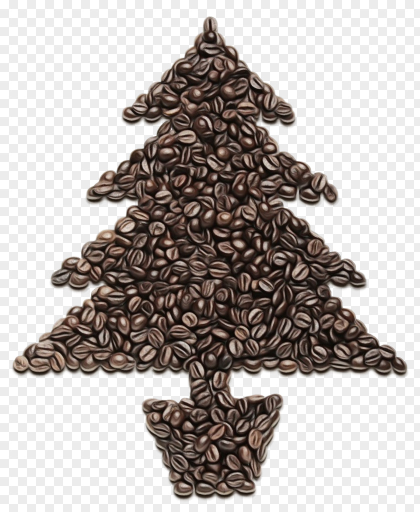 Woody Plant Evergreen Christmas Tree PNG