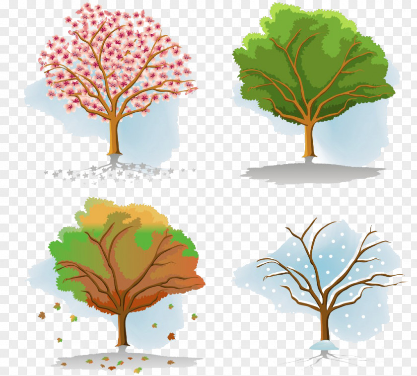 Four Seasons Tree Children Season Autumn PNG