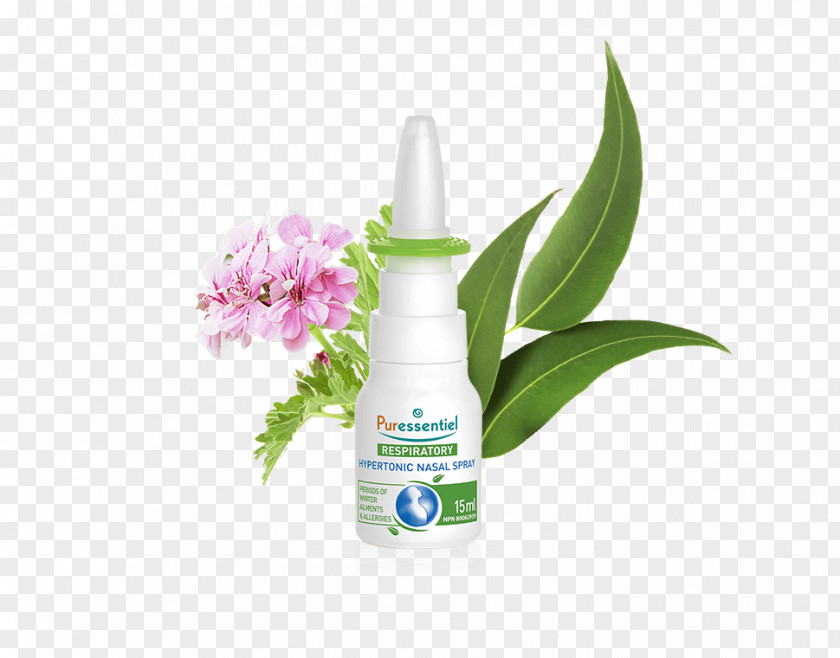 Nose Nasal Spray Congestion Common Cold Respiratory System PNG