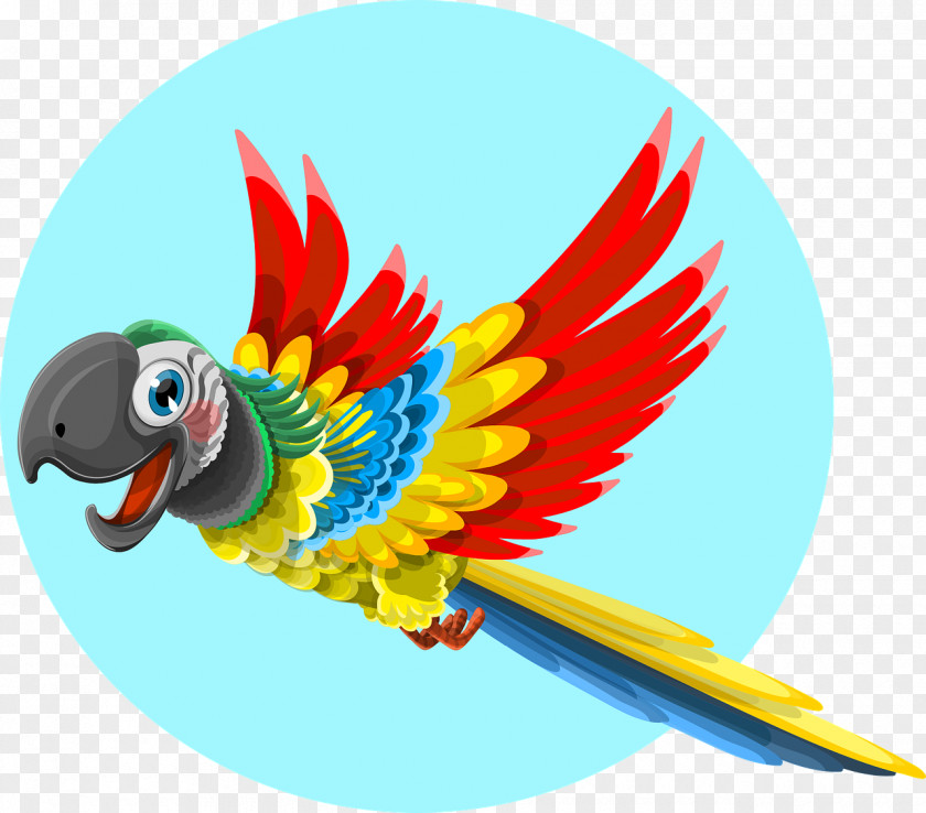 Parrot Amazon Bird Wedding Invitation T-shirt PNG