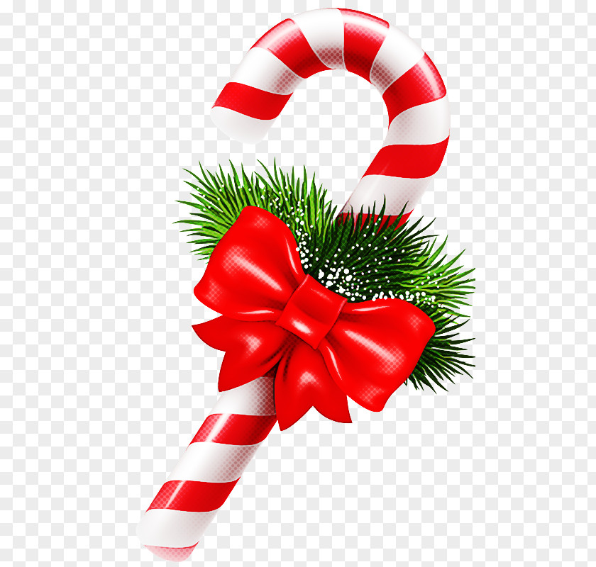Pine Event Candy Cane PNG