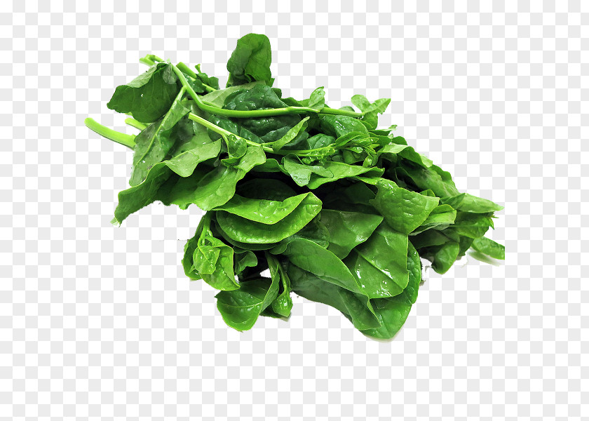 Vegetable Spinach Komatsuna Collard Greens Spring Chard PNG