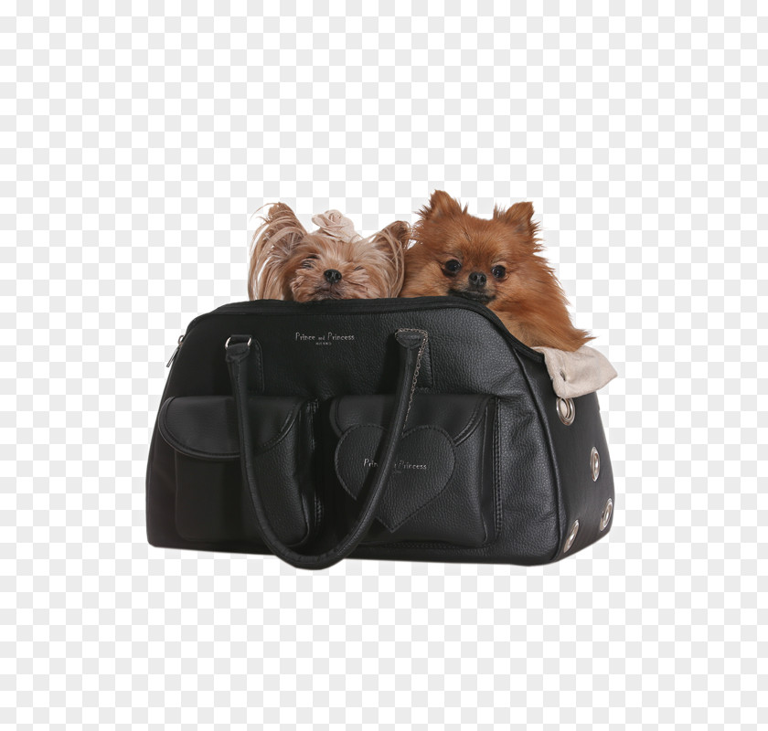 Air Bag Dog Breed Handbag Consorzio Costa Smeralda Porto Cervo Homes PNG