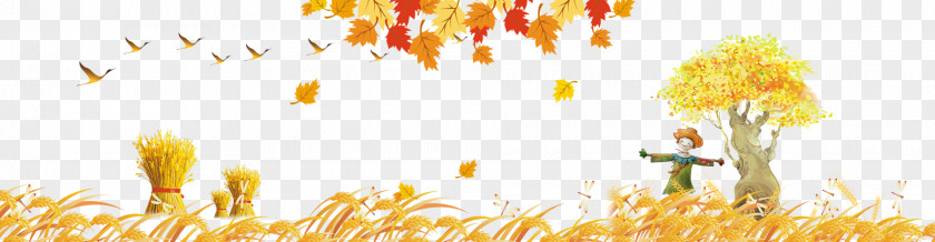 Autumn Scarecrow Yellow Foliage Gratis Computer File PNG