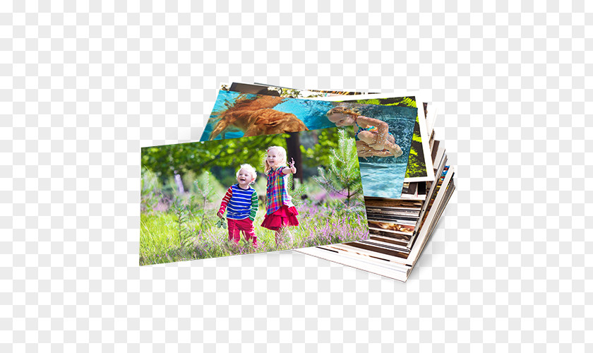 Book Photo-book Printing Photo Albums PNG