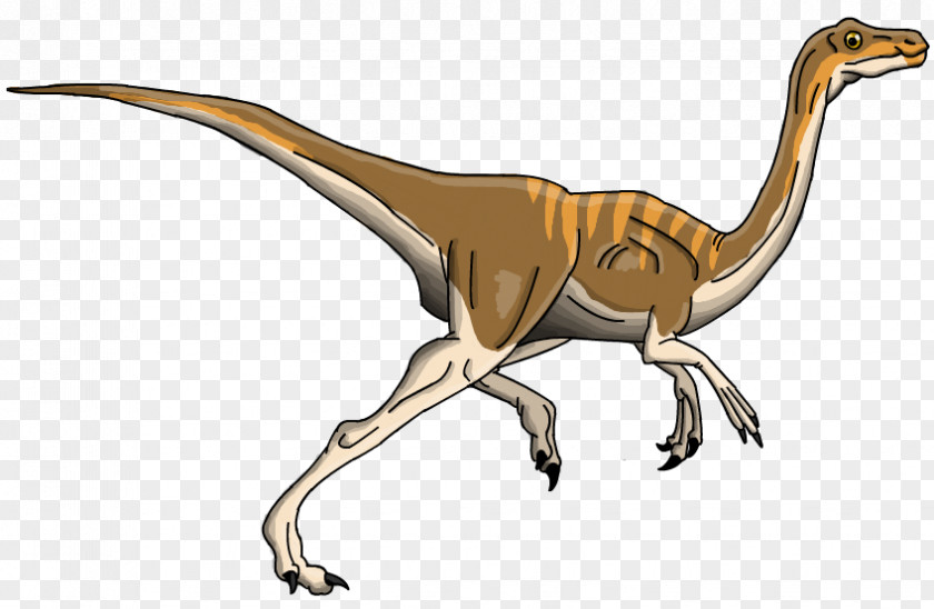 Harmless Velociraptor Tyrannosaurus Gallimimus Triceratops Brachiosaurus PNG