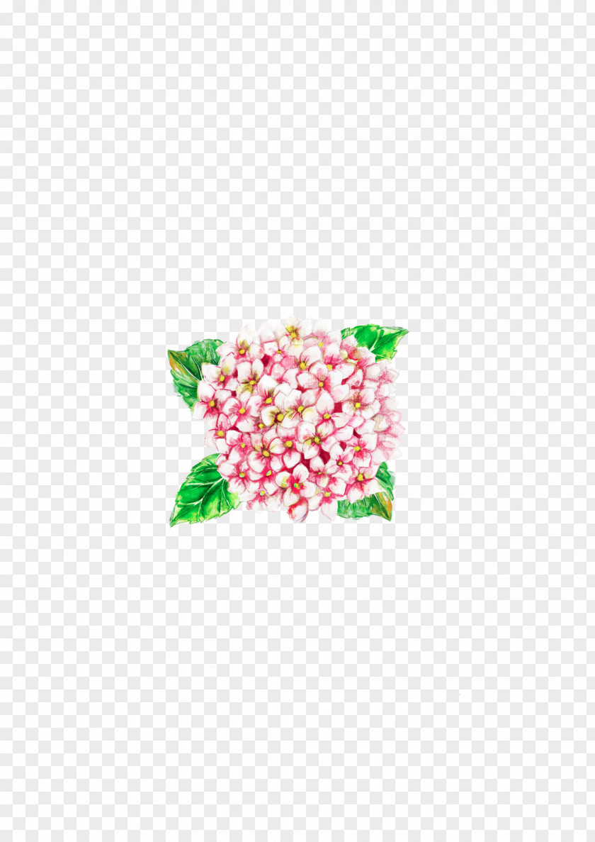 Hydrangea Flower Petal Pink Bird PNG