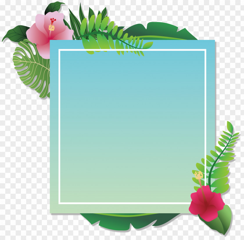 Summer Party Decoration Box Convite PNG