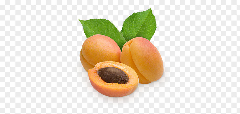 Apricot PNG clipart PNG