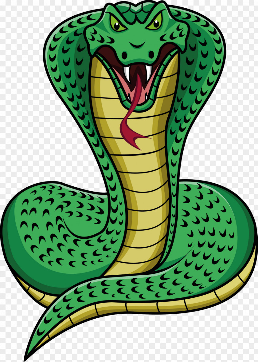 Lizard Snake Scale Cartoon Clip Art PNG