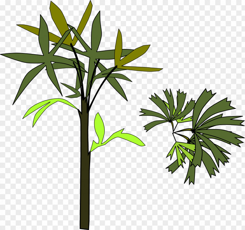 Palm Tree Leaves Clip Art PNG