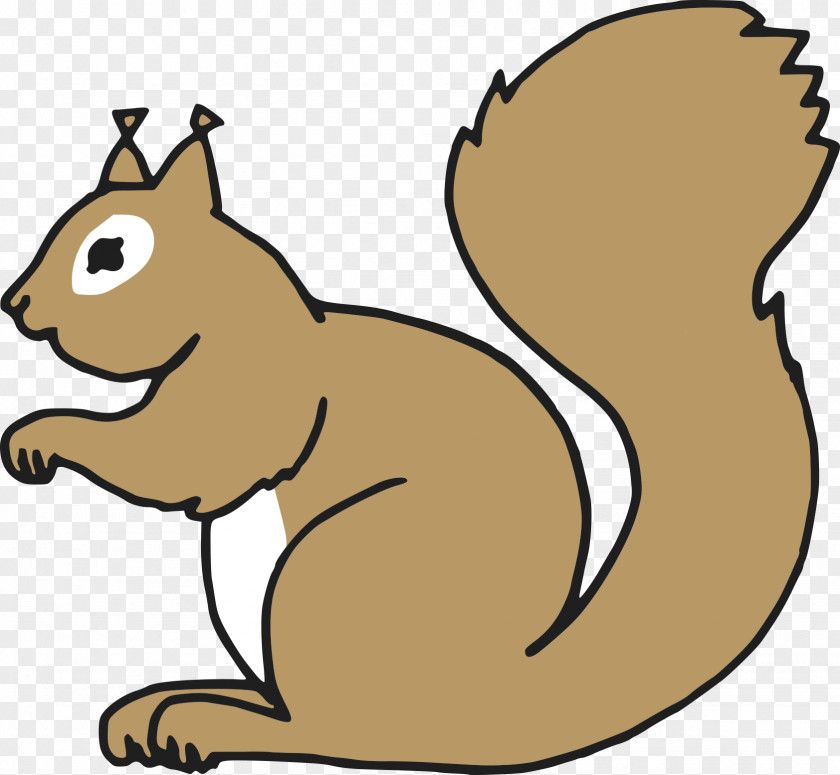 Squirrel Vector Graphics Image PNG