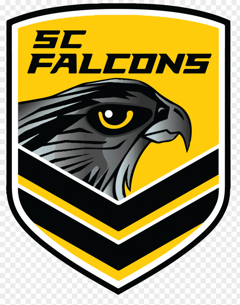 Sunshine Coast Australia Falcons Queensland Cup Northern Pride RLFC Atlanta Rugby League PNG