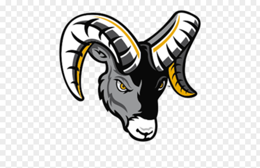 American Football Framingham State University Rams Team Fitchburg Los Angeles Of Massachusetts Dartmouth PNG