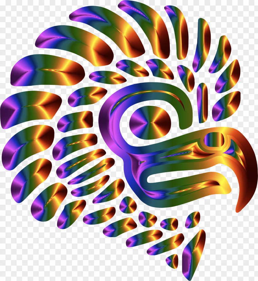 Eagle Bald Clip Art Image Silhouette PNG