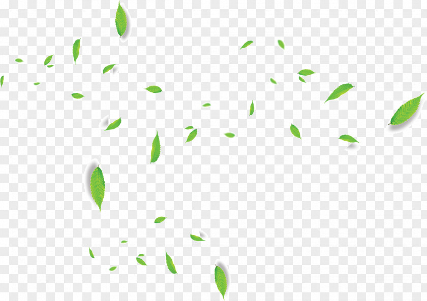 Floating Leaves Green Leaf PNG