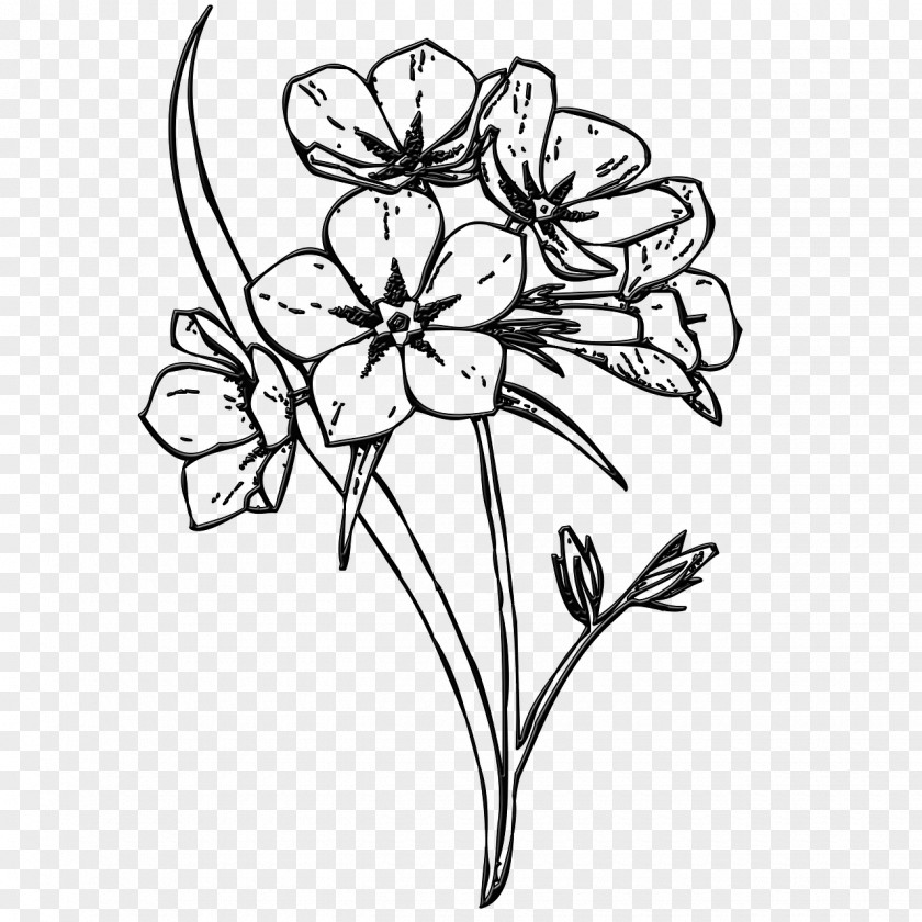 Flower Floral Design Image Drawing Clip Art PNG