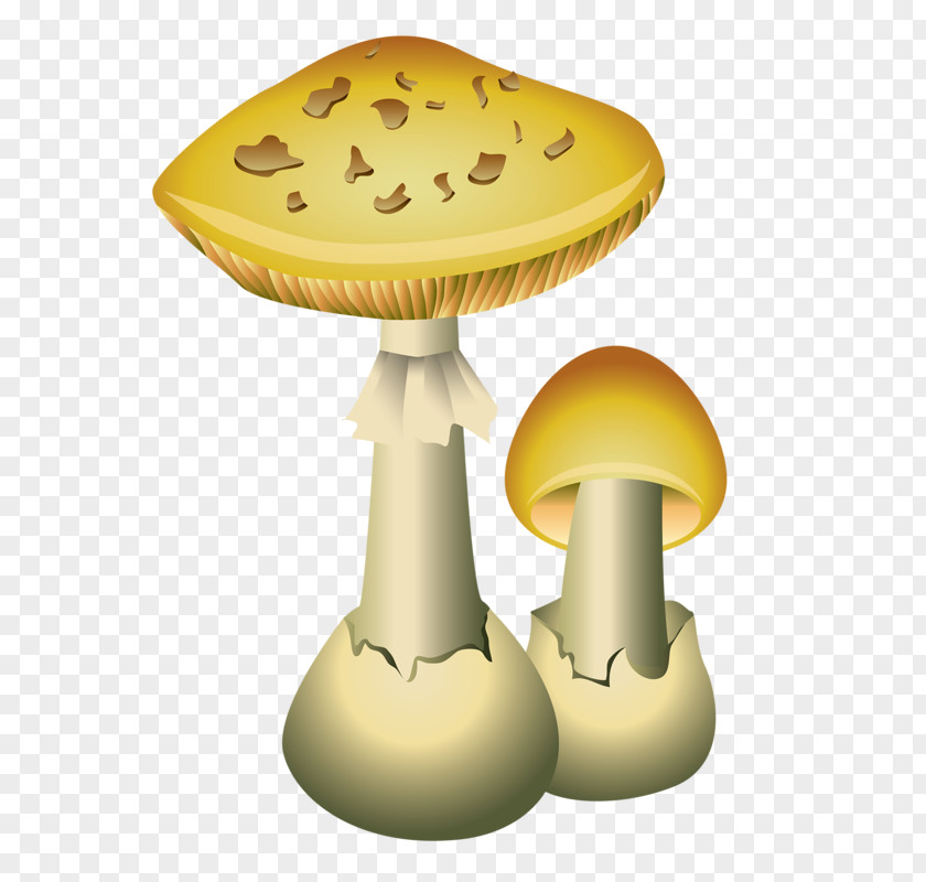 Mushroom Common Vector Graphics Edible Illustration PNG