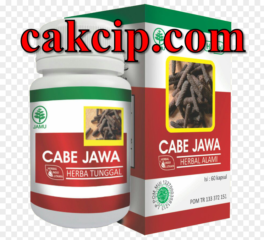 Cabe Java Piper Retrofractum Herb Chili Pepper Bors PNG