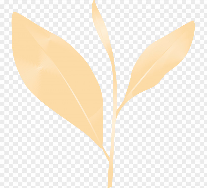 Leaf Plant Flower Pedicel PNG