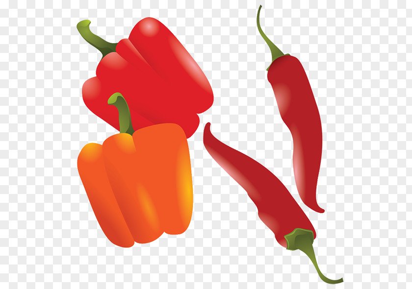 Pepper Chili Drawing Bell PNG