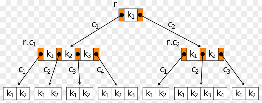 Tree B-tree B+ Data Structure Index PNG