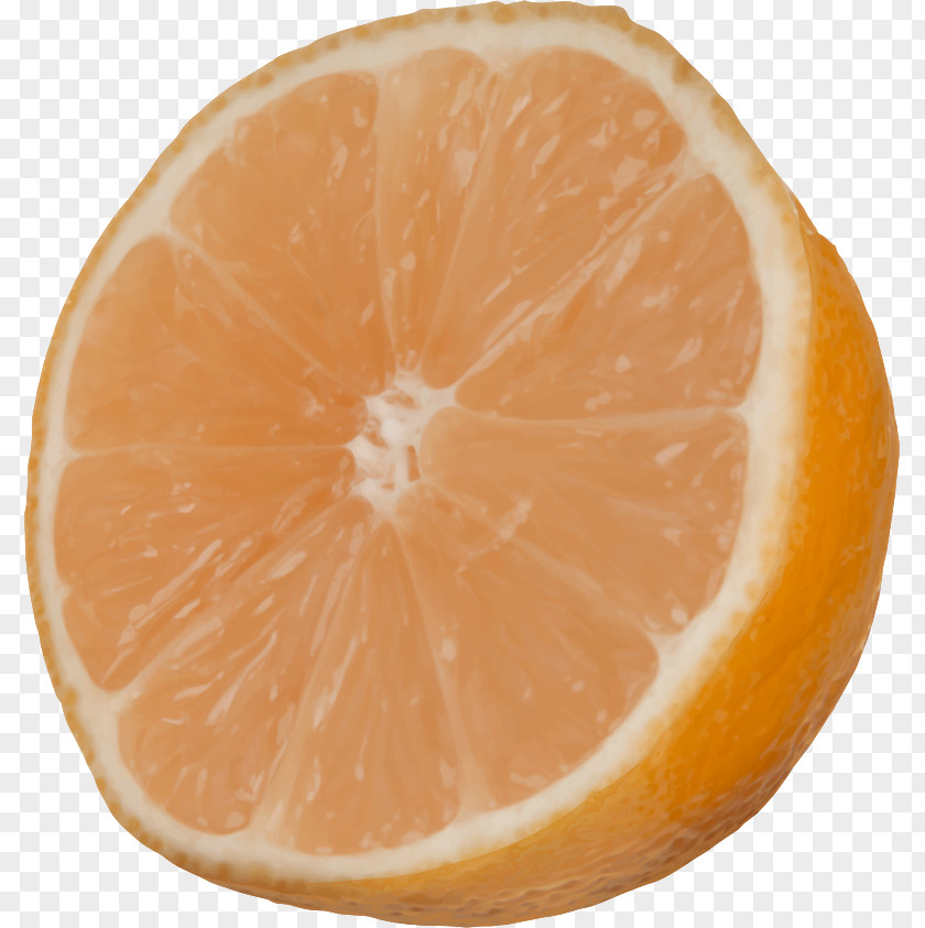 Vector Orange Clementine Mandarin Tangelo Tangerine Grapefruit PNG