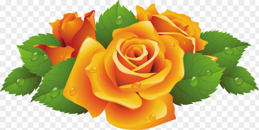 Yellow Rose Flower Clip Art PNG