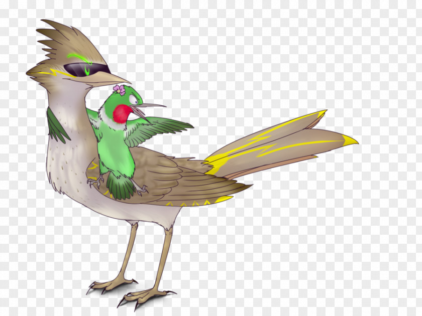 Chicken Bird Beak Illustration Coraciiformes PNG