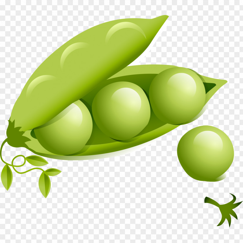 Green Peas Common Bean Vegetable Lablab Food PNG