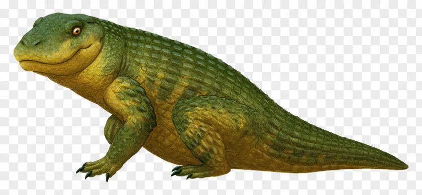 Late Cretaceous Simosuchus Crocodylomorpha Crocodile Dinosaur PNG