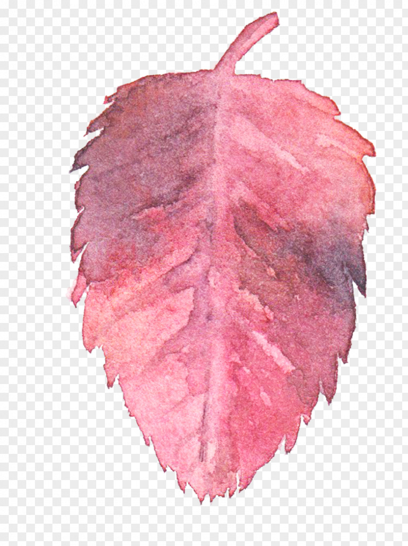 Pink Watercolor Leaves Transparent Watercolor: Flowers Painting Leaf PNG