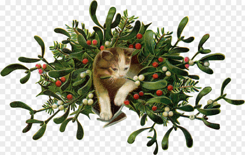 Serene Banner Cat Mistletoe Christmas Day Clip Art Wreath PNG